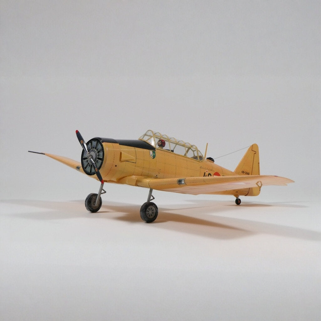 texano norteamericano